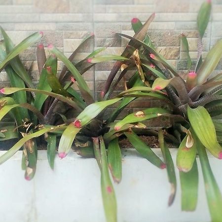 Homestay Bumi Asri III Cikutra باندونج المظهر الخارجي الصورة
